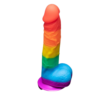 Andrew Christian TROPHY BOY Rainbow 23.5 cm Boy Toy Dildo