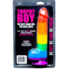 Andrew Christian TROPHY BOY Rainbow 23.5 cm Boy Toy Dildo