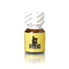 Beginner Combo Pack 3 x 10ml Poppers